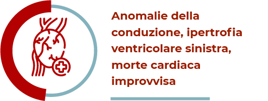 approfondisci